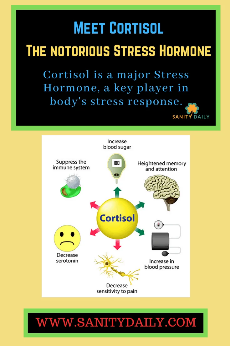 Does your husband's family give you stress 